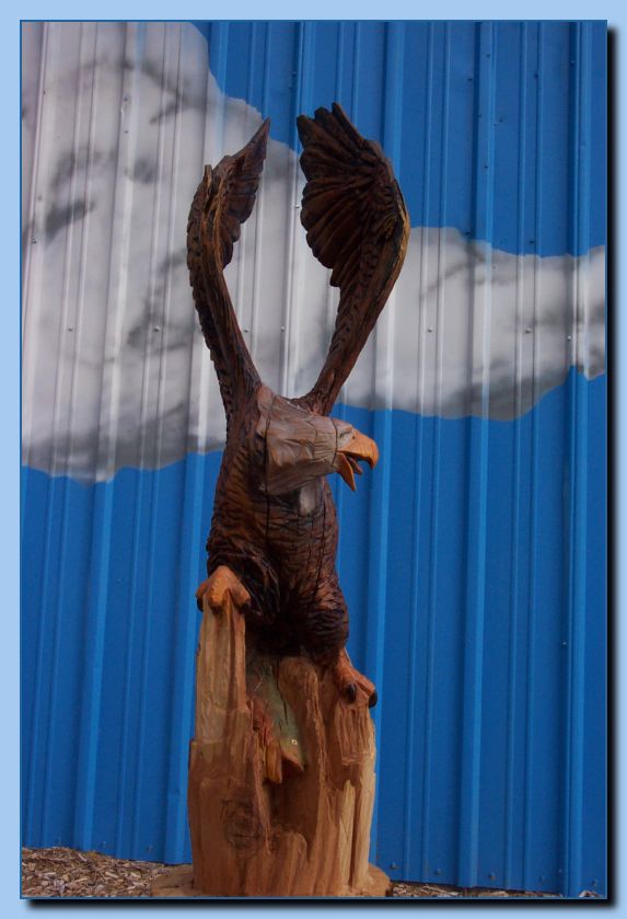 2-05 eagle with wings up, attached-archive-0005